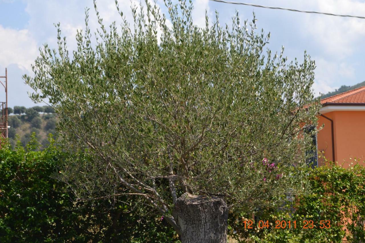 Villa Oasi Peppa Ascea Exterior foto